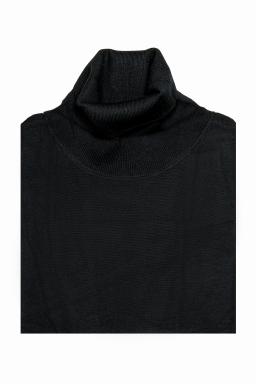 Водолазка LARIO COVALDI 0702/6